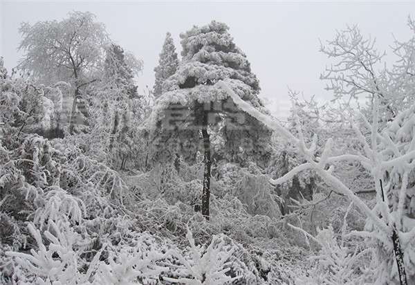 咸陽博物館設(shè)計(jì)公司