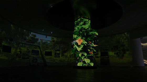 幸福主題展館設(shè)計-渭南富平幸福之路展示館 幸福主題展館設(shè)計-渭南富平幸福之路展示館